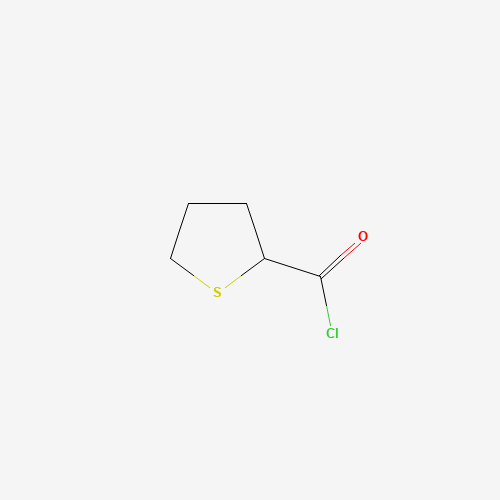 thiolane-2-carbonyl chloride (CAS: 63521-95-9) - Related Chemical Product