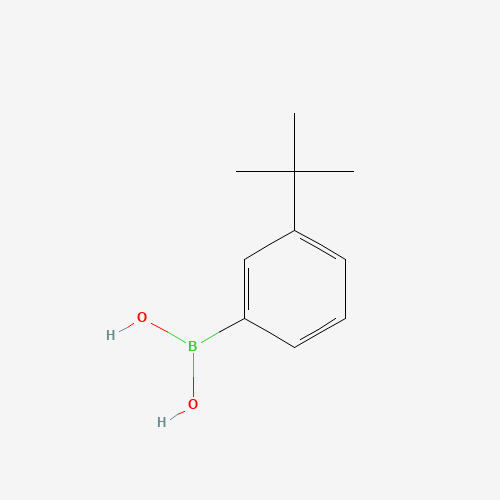 (3-tert-butylphenyl)boronic acid (CAS: 560132-24-3) - Related Chemical Product