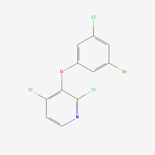 3-(3-bromo-5-chlorophenoxy)-2,4-dichloropyridine (CAS: 1338226-09-7) - Related Chemical Product