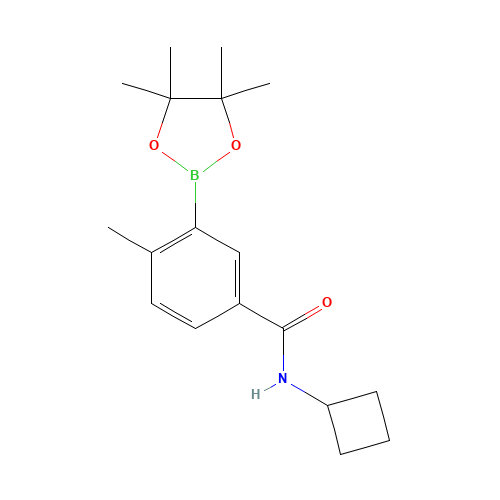 N-cyclobutyl-4-methyl-3-(4,4,5,5-tetramethyl-1,3,2-dioxaborolan-2-yl)benzamide (CAS: 861905-20-6) - Related Chemical Product