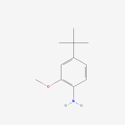 4-tert-butyl-2-methoxyaniline (CAS: 228401-14-7) - Related Chemical Product