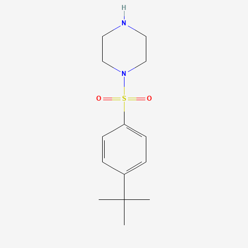 1-(4-tert-butylphenyl)sulfonylpiperazine (CAS: 379244-68-5) - Related Chemical Product