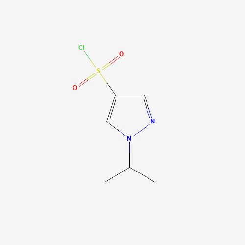 1-propan-2-ylpyrazole-4-sulfonyl chloride (CAS: 1177336-51-4) - Related Chemical Product