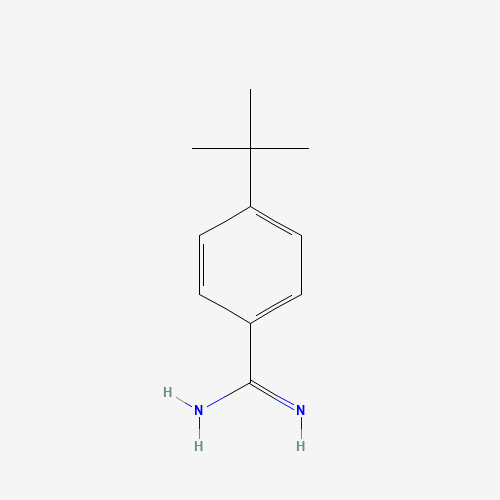 4-tert-butylbenzenecarboximidamide (CAS: 125772-42-1) - Chemical Structure and Molecular Formula 