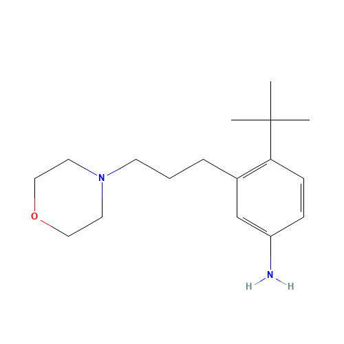 4-tert-butyl-3-(3-morpholin-4-ylpropyl)aniline (CAS: 870220-71-6) - Related Chemical Product