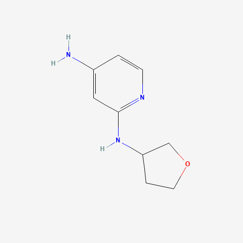 2-N-(oxolan-3-yl)pyridine-2,4-diamine (CAS: 1313726-80-5) - Related Chemical Product