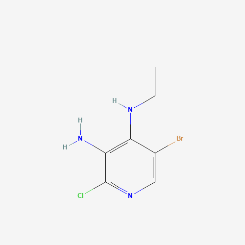 5-bromo-2-chloro-3-N-ethylpyridine-3,4-diamine (CAS: 842144-03-0) - Related Chemical Product
