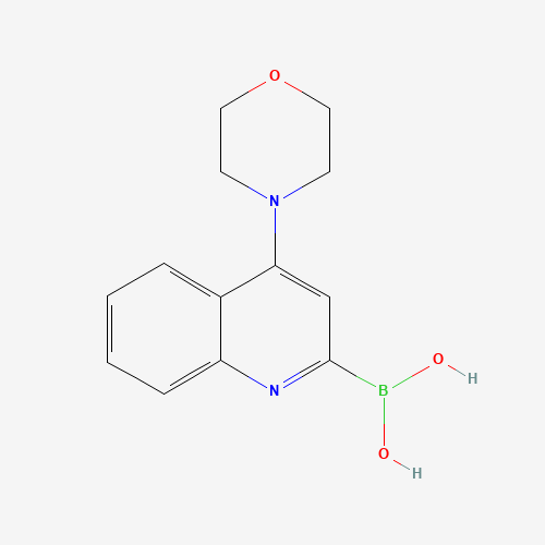 (4-morpholin-4-ylquinolin-2-yl)boronic acid (CAS: 1201845-56-8) - Related Chemical Product