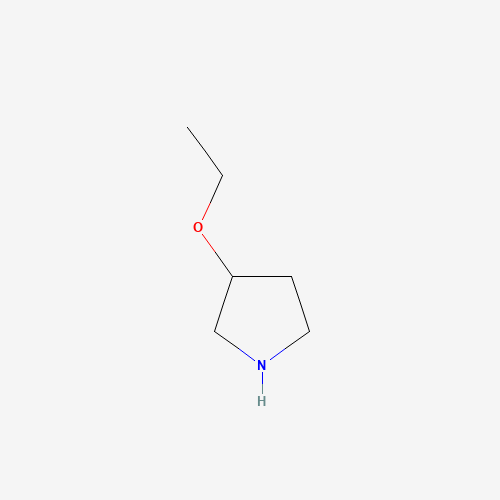 3-ethoxypyrrolidine (CAS: 45592-49-2) - Related Chemical Product