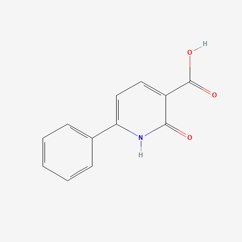 2-oxo-6-phenyl-1H-pyridine-3-carboxylic acid (CAS: 56162-63-1) - Related Chemical Product