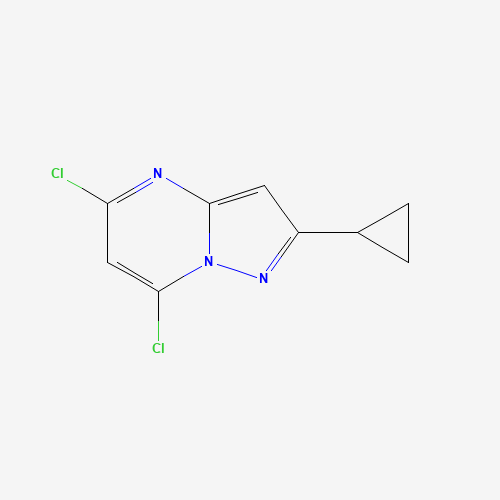 5,7-dichloro-2-cyclopropylpyrazolo[1,5-a]pyrimidine (CAS: 893447-41-1) - Related Chemical Product
