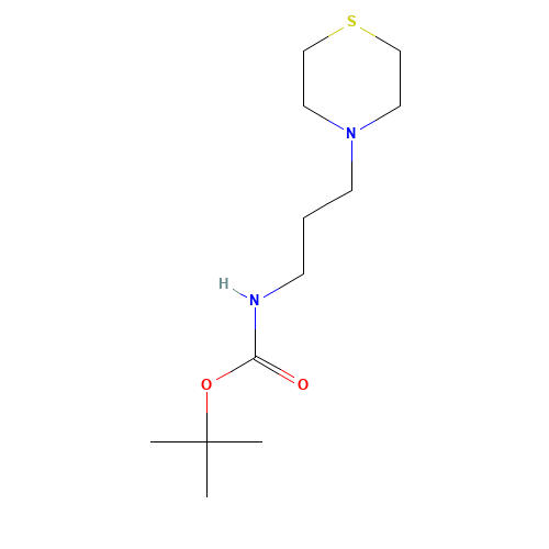 tert-butyl N-(3-thiomorpholin-4-ylpropyl)carbamate (CAS: 454701-66-7) - Related Chemical Product