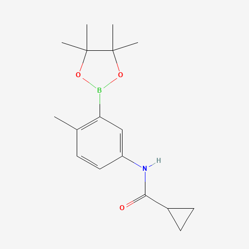 N-[4-methyl-3-(4,4,5,5-tetramethyl-1,3,2-dioxaborolan-2-yl)phenyl]cyclopropanecarboxamide (CAS: 882679-35-8) - Related Chemical Product