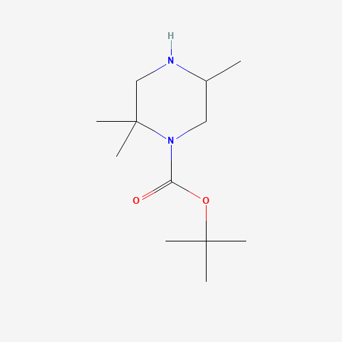 tert-butyl 2,2,5-trimethylpiperazine-1-carboxylate (CAS: 1443741-44-3) - Chemical Structure and Molecular Formula 