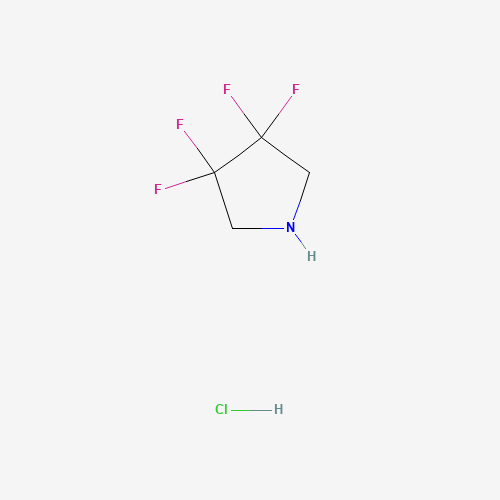 3,3,4,4-tetrafluoropyrrolidine;hydrochloride (CAS: 1810-13-5) - Chemical Structure and Molecular Formula 
