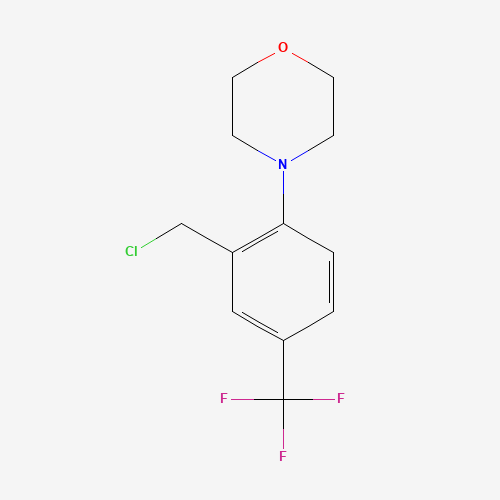 4-[2-(chloromethyl)-4-(trifluoromethyl)phenyl]morpholine (CAS: 892502-15-7) - Related Chemical Product