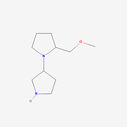 2-(methoxymethyl)-1-pyrrolidin-3-ylpyrrolidine (CAS: 1228674-21-2) - Related Chemical Product