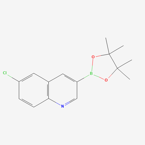 6-chloro-3-(4,4,5,5-tetramethyl-1,3,2-dioxaborolan-2-yl)quinoline (CAS: 1355582-91-0) - Related Chemical Product