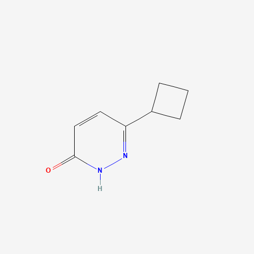 3-cyclobutyl-1H-pyridazin-6-one (CAS: 1161737-37-6) - Related Chemical Product