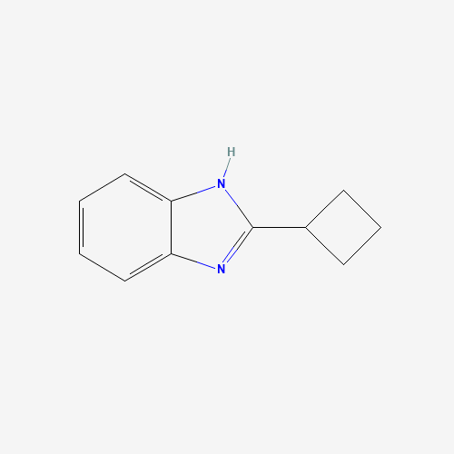 2-cyclobutyl-1H-benzimidazole (CAS: 97968-80-4) - Related Chemical Product