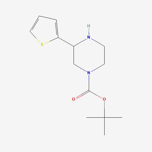 tert-butyl 3-thiophen-2-ylpiperazine-1-carboxylate (CAS: 886771-38-6) - Related Chemical Product