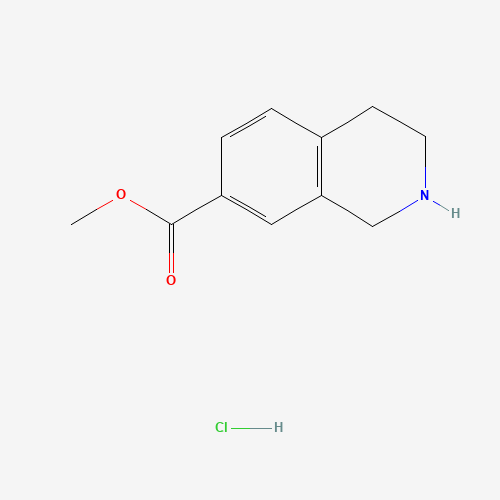 methyl 1,2,3,4-tetrahydroisoquinoline-7-carboxylate;hydrochloride (CAS: 220247-69-8) - Related Chemical Product