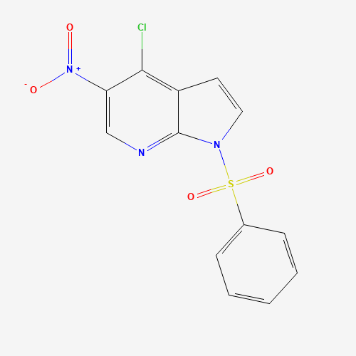 1-(benzenesulfonyl)-4-chloro-5-nitropyrrolo[2,3-b]pyridine (CAS: 1245649-52-8) - Related Chemical Product