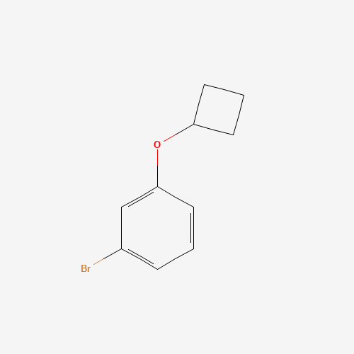 1-bromo-3-cyclobutyloxybenzene (CAS: 1268713-64-9) - Related Chemical Product