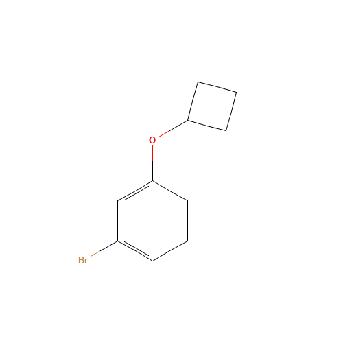 1-bromo-3-cyclobutyloxybenzene (CAS: 1268713-64-9) - Related Chemical Product