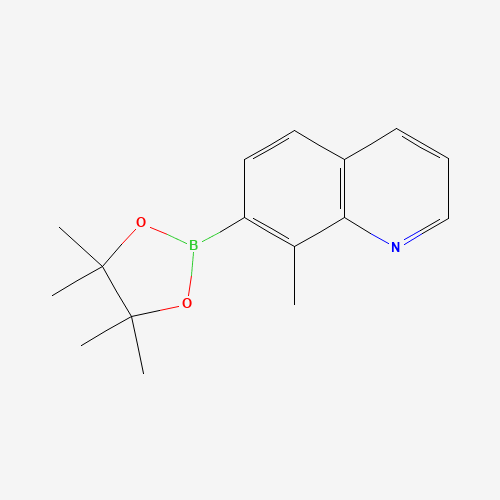8-methyl-7-(4,4,5,5-tetramethyl-1,3,2-dioxaborolan-2-yl)quinoline (CAS: 851985-96-1) - Related Chemical Product