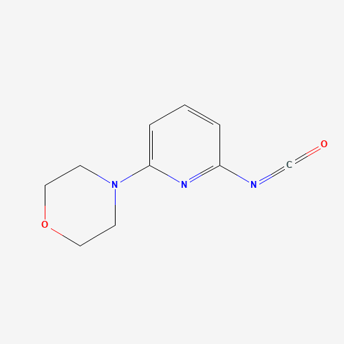 4-(6-isocyanatopyridin-2-yl)morpholine (CAS: 884507-15-7) - Related Chemical Product