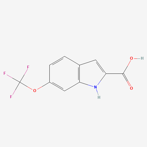 6-(trifluoromethoxy)-1H-indole-2-carboxylic acid (CAS: 923259-70-5) - Related Chemical Product