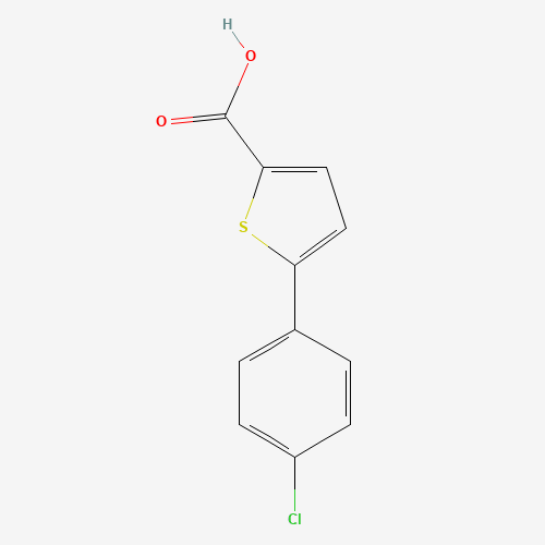 5-(4-chlorophenyl)thiophene-2-carboxylic acid (CAS: 40133-14-0) - Related Chemical Product