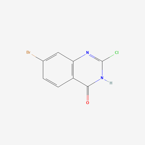 7-bromo-2-chloro-1H-quinazolin-4-one (CAS: 744229-27-4) - Related Chemical Product