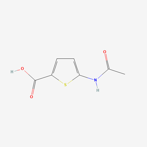 5-acetamidothiophene-2-carboxylic acid (CAS: 89499-46-7) - Related Chemical Product