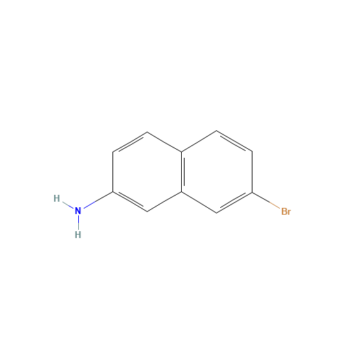 7-bromonaphthalen-2-amine (CAS: 590417-30-4) - Chemical Structure and Molecular Formula 