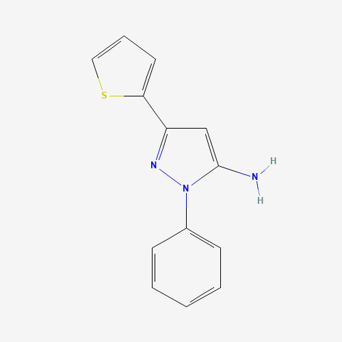 2-phenyl-5-thiophen-2-ylpyrazol-3-amine (CAS: 161952-26-7) - Related Chemical Product