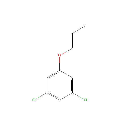 1,3-dichloro-5-propoxybenzene (CAS: 1202656-18-5) - Related Chemical Product