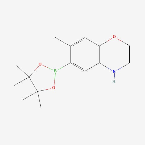 7-methyl-6-(4,4,5,5-tetramethyl-1,3,2-dioxaborolan-2-yl)-3,4-dihydro-2H-1,4-benzoxazine (CAS: 1567214-36-1) - Related Chemical Product