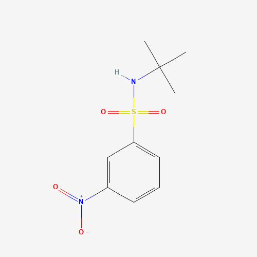 N-tert-butyl-3-nitrobenzenesulfonamide (CAS: 424818-25-7) - Related Chemical Product