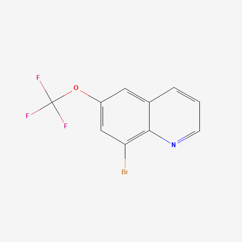 8-bromo-6-(trifluoromethoxy)quinoline (CAS: 1020253-25-1) - Related Chemical Product