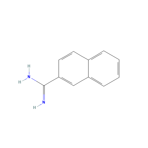 naphthalene-2-carboximidamide (CAS: 5651-14-9) - Related Chemical Product