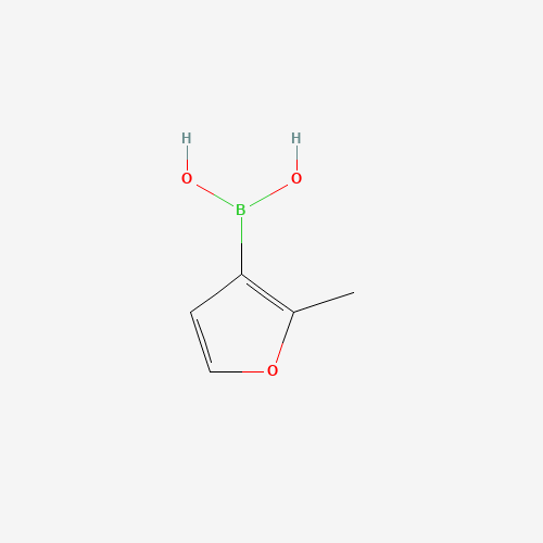 (2-methylfuran-3-yl)boronic acid (CAS: 1053182-85-6) - Chemical Structure and Molecular Formula 