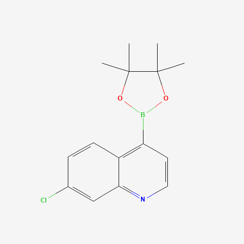 7-chloro-4-(4,4,5,5-tetramethyl-1,3,2-dioxaborolan-2-yl)quinoline (CAS: 871125-83-6) - Related Chemical Product
