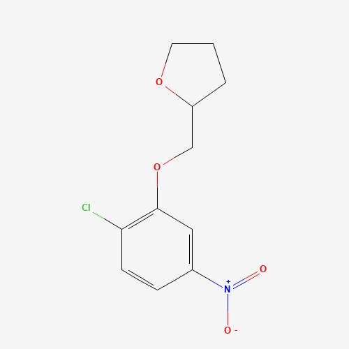 2-[(2-chloro-5-nitrophenoxy)methyl]oxolane (CAS: 769961-19-5) - Related Chemical Product
