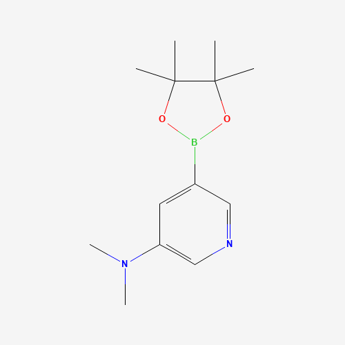 N,N-dimethyl-5-(4,4,5,5-tetramethyl-1,3,2-dioxaborolan-2-yl)pyridin-3-amine (CAS: 1425045-81-3) - Related Chemical Product