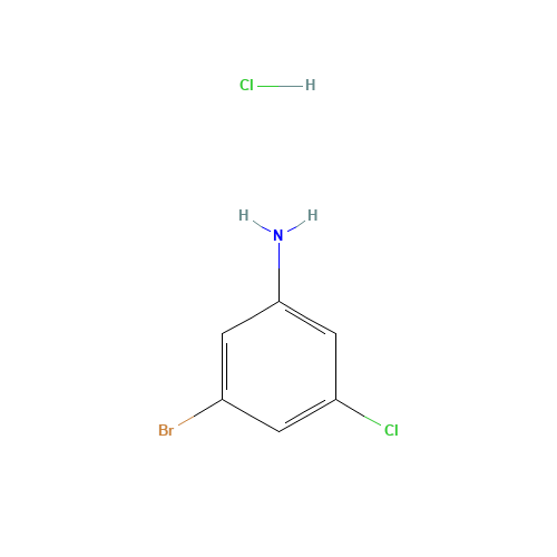 3-bromo-5-chloroaniline;hydrochloride (CAS: 1426806-77-0) - Related Chemical Product