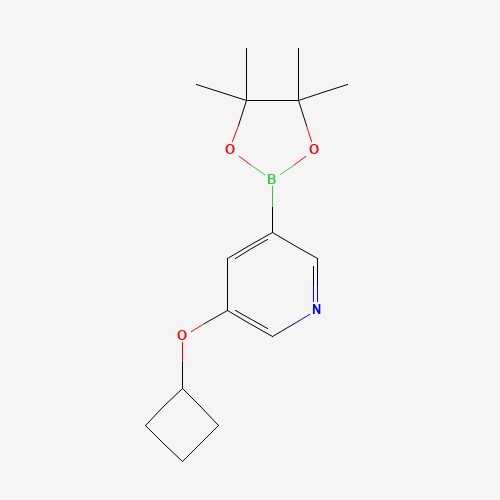 3-cyclobutyloxy-5-(4,4,5,5-tetramethyl-1,3,2-dioxaborolan-2-yl)pyridine (CAS: 1257553-86-8) - Chemical Structure and Molecular Formula 