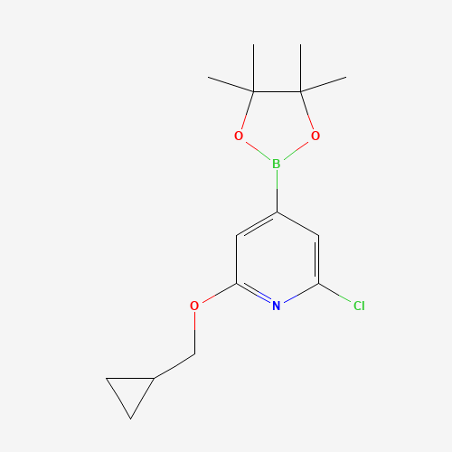 2-chloro-6-(cyclopropylmethoxy)-4-(4,4,5,5-tetramethyl-1,3,2-dioxaborolan-2-yl)pyridine (CAS: 1610521-20-4) - Chemical Structure and Molecular Formula 