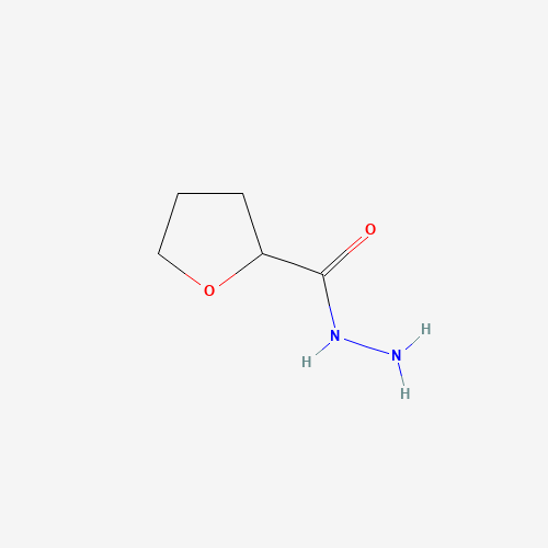 oxolane-2-carbohydrazide (CAS: 59293-11-7) - Chemical Structure and Molecular Formula 
